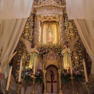 Meet your Posher, Hilda